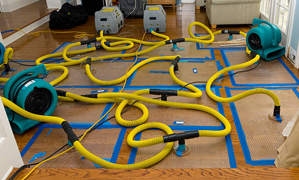Professional Water Extraction technician working in Leslie, MO